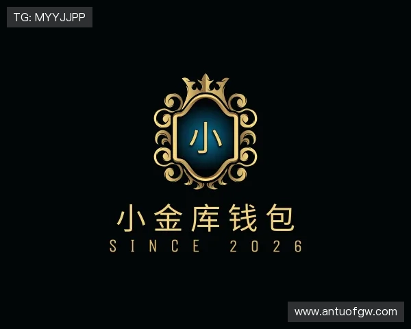 了解小金库钱包官网